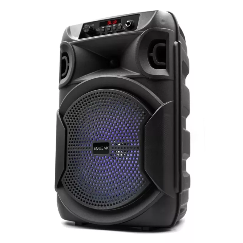 Belaidis garsiakalbis Bluetooth 5.3 SQUEAK PULSETOWER SQ1006