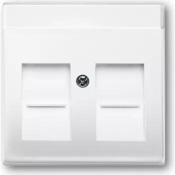 BUSCH JAEGER 1710-0-3176 – Baltas – Įprastas – 63 mm x 63 mm
