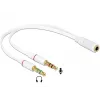 Garso adapteris DeLOCK 65585 0,2 m 2x3,5 mm Kištukas į 3,5 mm Lizdą Baltas