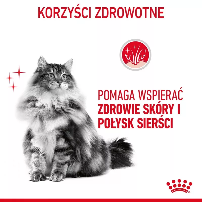 ROYAL CANIN Hair&Skin Care Adult - sausi kačių ėdalai - 400g