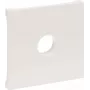 Legrand SEANO dengiamoji plokštelė 765165 F tipo jungties lizdui 5