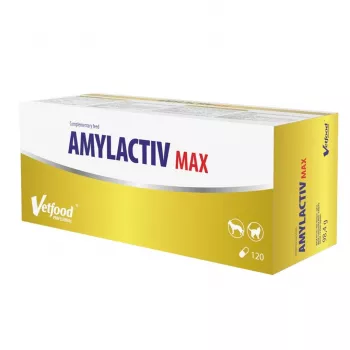Vetfood Amylactiv MAX papildas virškinimui šunims ir katėms, 120 kapsulių, 100 g