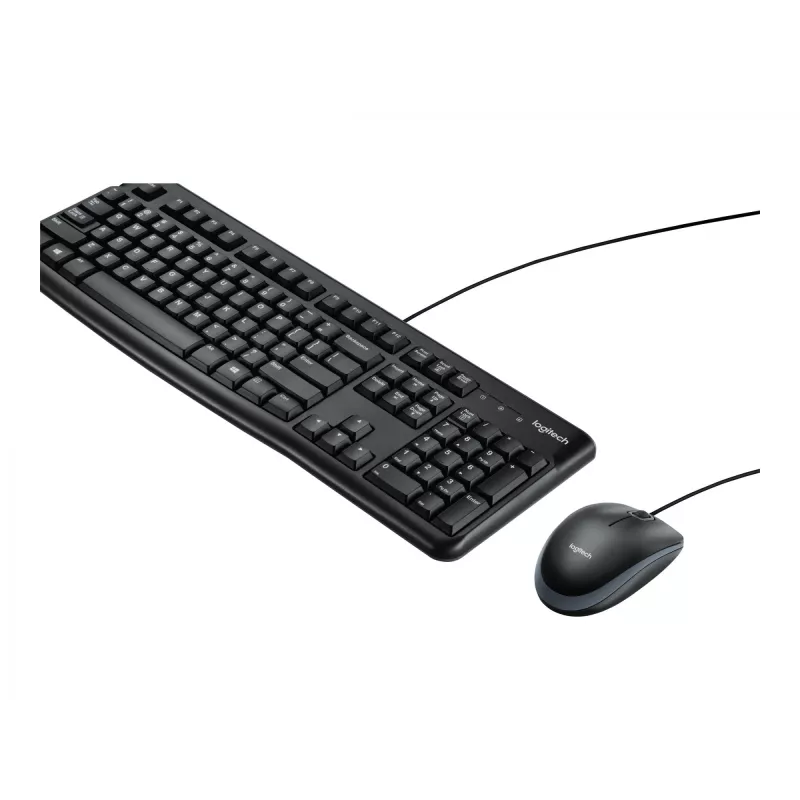 Logitech Desktop MK120 portugališkas išdėstymas PO (920-002547)