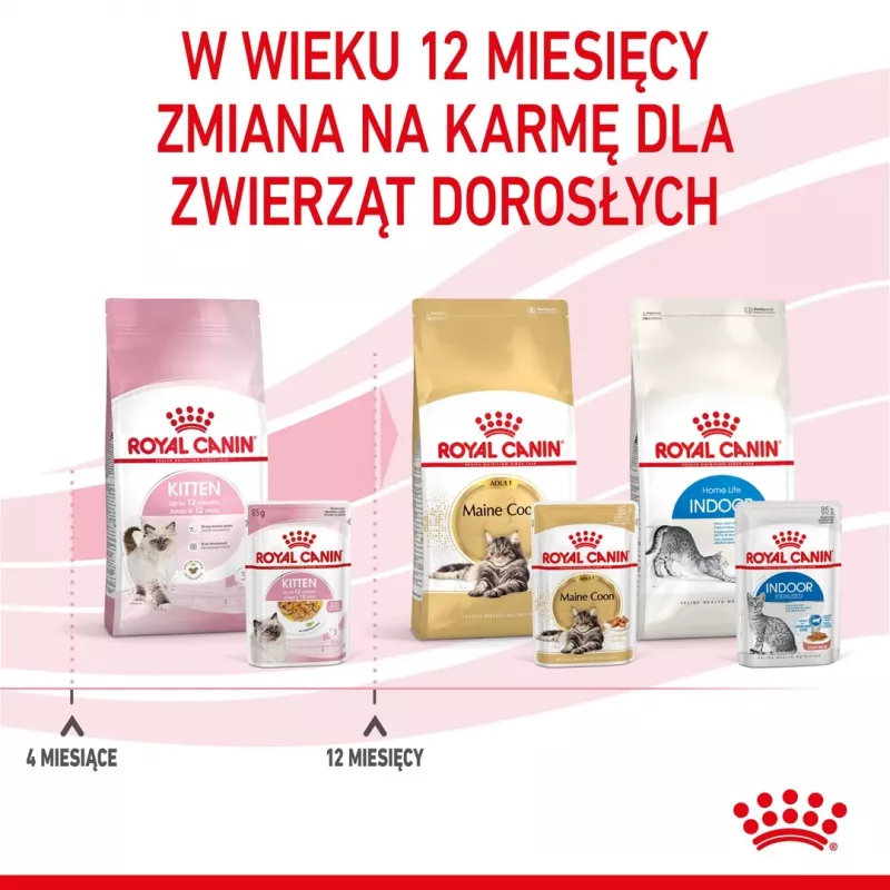 Šlapias kačiukų ėdalas Royal Canin Kitten Jelly 85 g – vištienos skonis, 85 g paketėlis, 12 vnt.