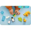 LEGO DUPLO 10442 Laukiniai gyvūnai: Pingvinai ir Liūtai