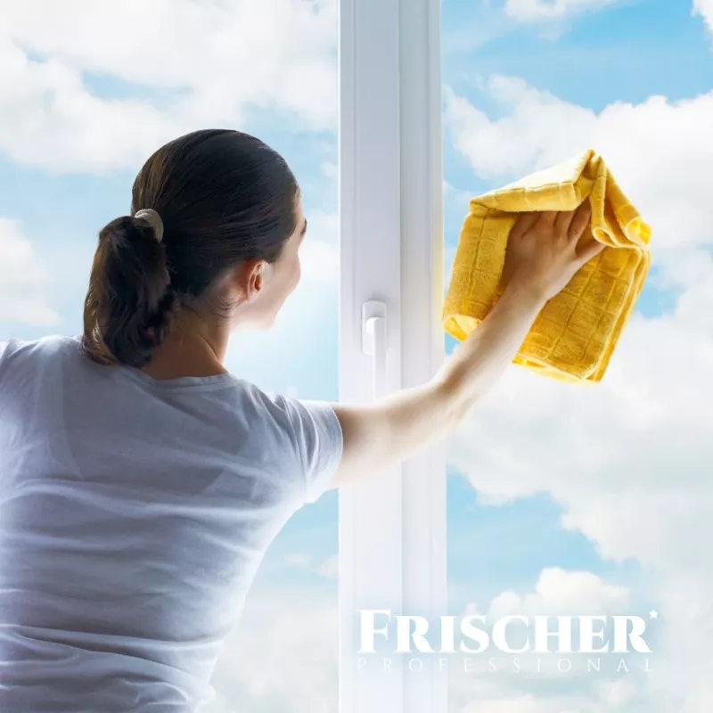Stiklo valiklis FRISCHER FR00233_500 0,5 L su apsauga nuo rasojimo