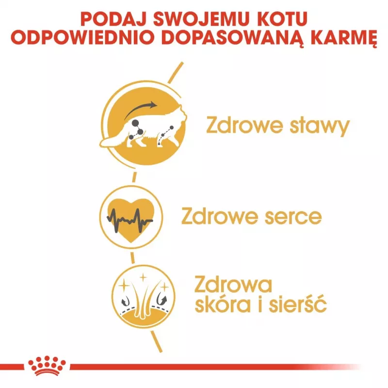 Sausas kačių ėdalas Royal Canin Maine Coon Adult 10 kg – paukštiena (vištiena), 31% baltymų, 20% riebalų