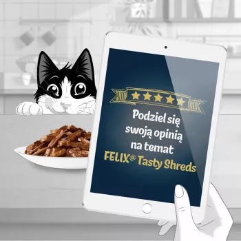 FELIX Tasty Shreds su jautiena ir vištiena - 4x 80g