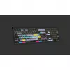 Logickeyboard ASTRA 2 klaviatūra USB AZERTY anglų juoda (LKB-RESB-A2M-FR)