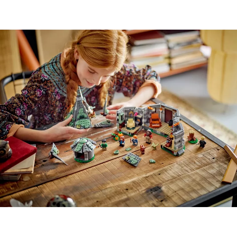 LEGO HARRY POTTER 76428 Hagrido trobelė – netikėtas apsilankymas