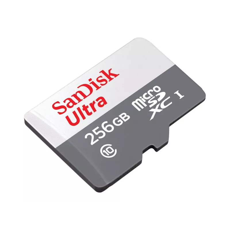 SanDisk 256 GB MicroSDXC UHS-I atminties kortelė SDSQUNR-256G-GN6TA