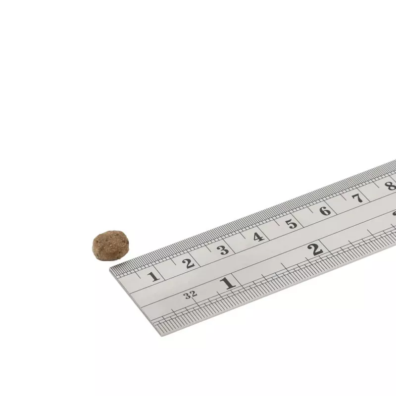 Sausas šunų ėdalas FISH4DOGS Superior Senior S Salmon — senjorams mažų veislių, 1,5 kg, 22% baltymų, 7% riebalų