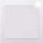 Eltako aklina danga, skirta R1UE55-R4UE55, modelis BLA55E-wg (30055645)