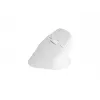 NATEC Crake 2 pelė Universal RF belaidė + Bluetooth optinė 2400 DPI