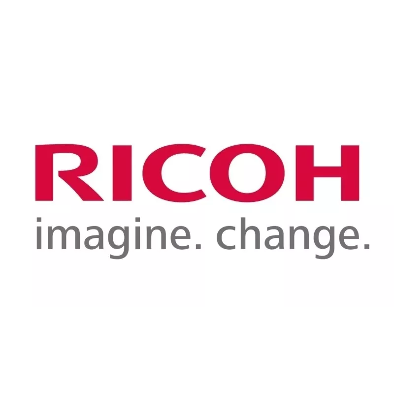 Ricoh M0B17075 (M0B1-7075) SERVISO DALYS: RAUDONA JUOSTA