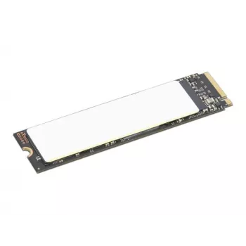 Lenovo 4XB1M86955 vidinis kietasis diskas 1 TB M.2 PCI Express 4.0 NVMe