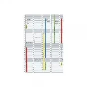 Franken DS1203A datos juostelė