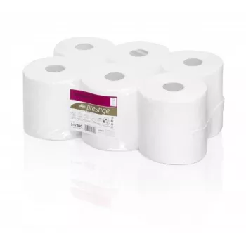 WEPA Centre Feed Rolls popieriaus ritinėliai tiekimo sistemai RPCB2150 - FP, 2 sluoksnių, 150 m, 600 lapų, 20x25, celiuliozė