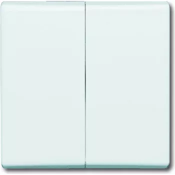 Busch-jaeger 2CKA001731A1601