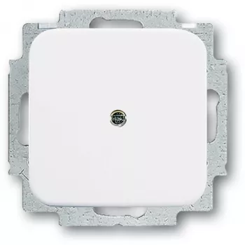Busch-Jaeger 2538-214 baltas elektros jungiklio priedas – tvarkinga apdaila jungikliams ir rėmeliams