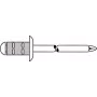 Aklakniedė GESIPA Polygrip 4.8×25 Al/St, fiksavimo diapazonas 11,0–19,5 mm – pakuotė 250 vnt.