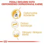 Sausas kačių ėdalas Royal Canin Bengal Adult 2 kg – paukštiena, 40% baltymų, 18% riebalų, virškinimo ir odos priežiūra