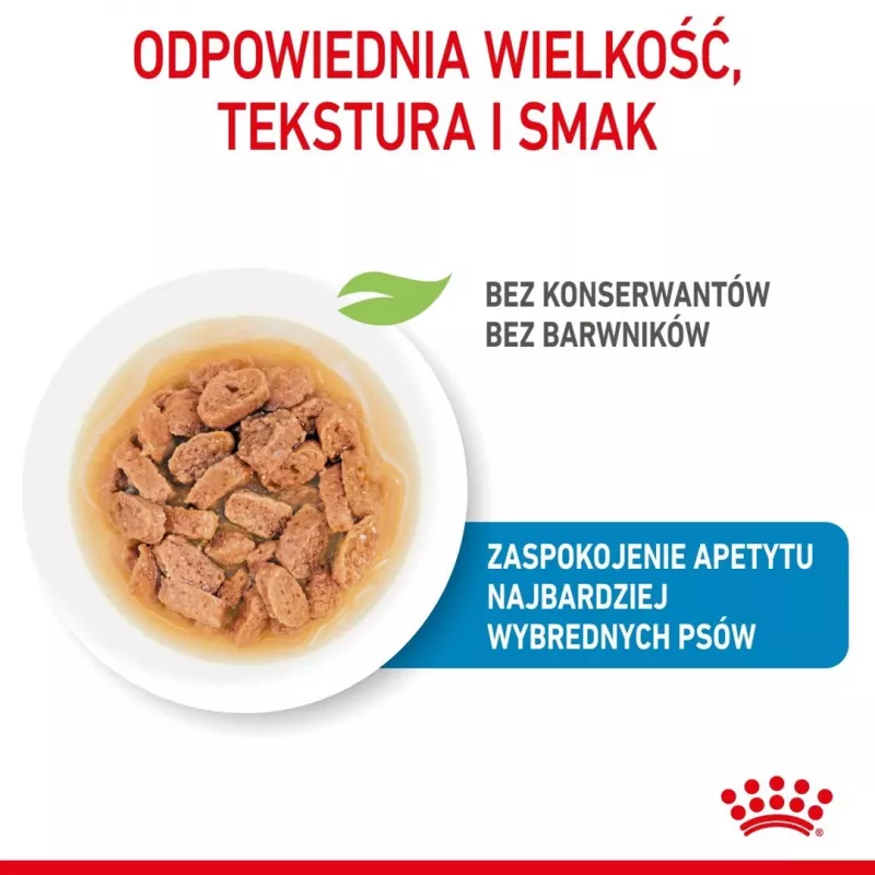 ROYAL CANIN SHN Mini Puppy padaže – šlapias ėdalas šuniukams – 12x85g