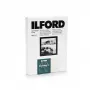 1x100 Ilford MG RC DL 44M 18x24 fotopopierius