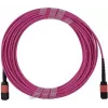 BlueOptics CB-M12-M12-MMF3M MPO-MPO daugiamodis OM4 šviesolaidinis kabelis 3 m