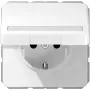 Įleidžiama rozetės dėžutė JUNG CD 1520 BFNAKL WW Schuko F tipas 16A 250V balta