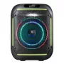 Belaidis garsiakalbis DEFENDER Boome R 65W