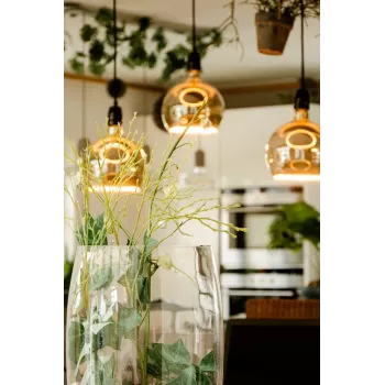 LED lemputė Segula 55058 Šilta balta 1900 K 6 W E27