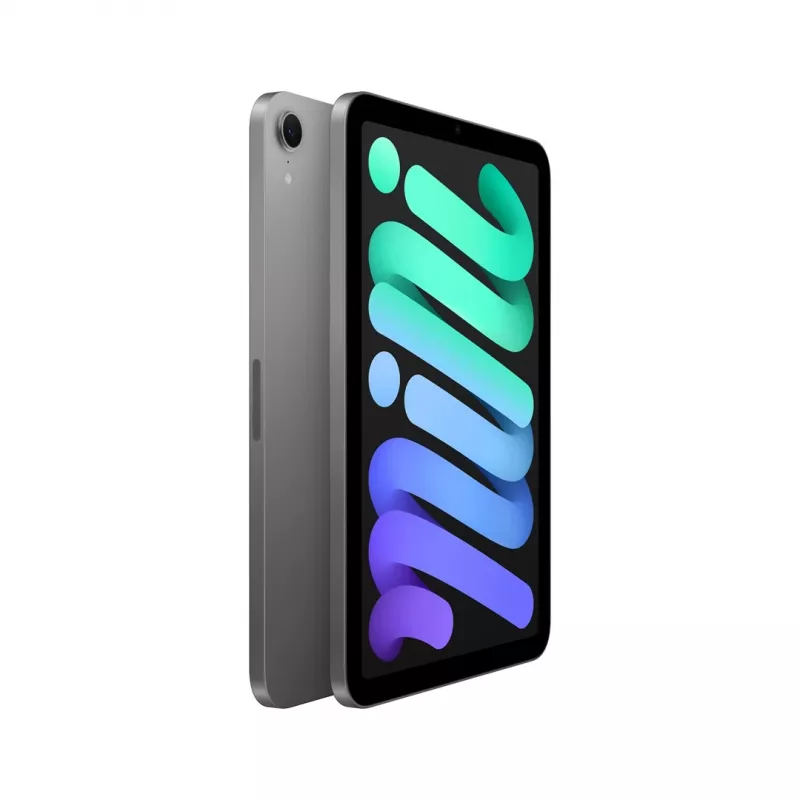 Apple iPad mini Wi-Fi 512GB - Kosminė pilka