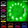 LED antkaklis Anicoll Green šunims ir katėms įkraunamas modelis