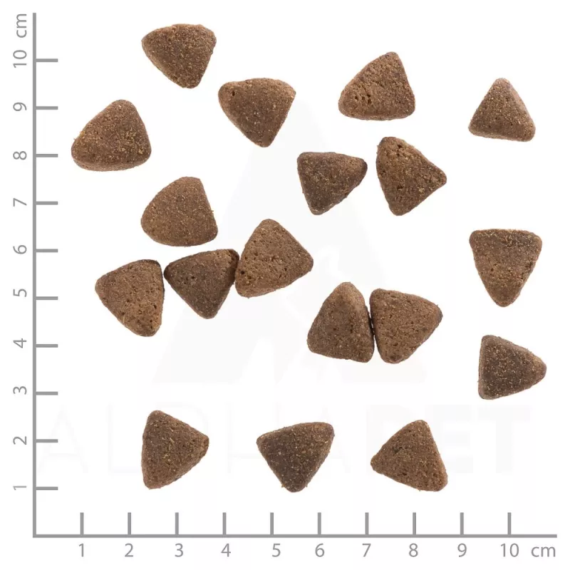 WOLFSBLUT Wide Plain Light Horse su saldžiosiomis bulvėmis - sausas šunų maistas - 2kg