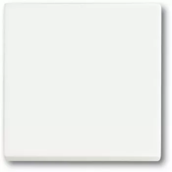 Jungiklis Busch-Jaeger 1751-0-3027 — plastikinis korpusas, baltas, mygtukinis valdymas, 63×63 mm