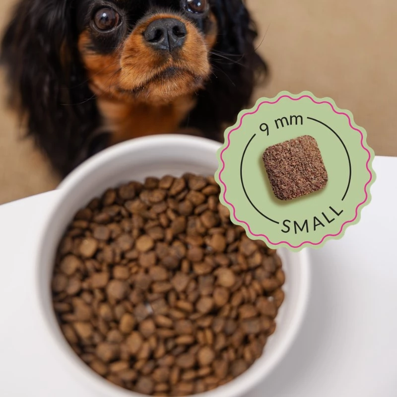 ADDVENA Boosted by superfoods Junior Small Beef sausas šunų ėdalas - 2,5 kg