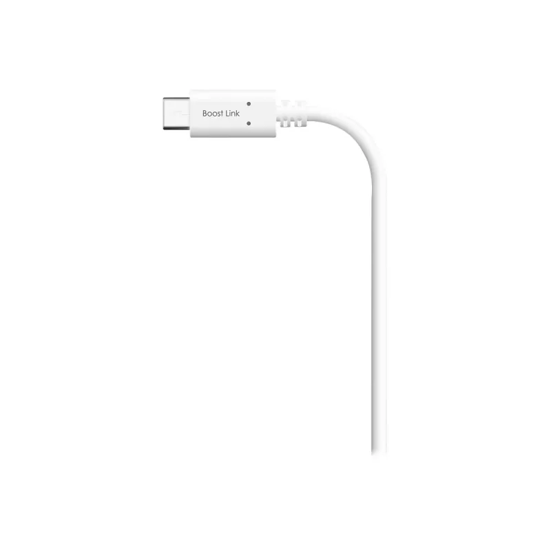 USB laidas Silicon Power Boost Link PVC LK10AC 1m USB A USB C Baltas