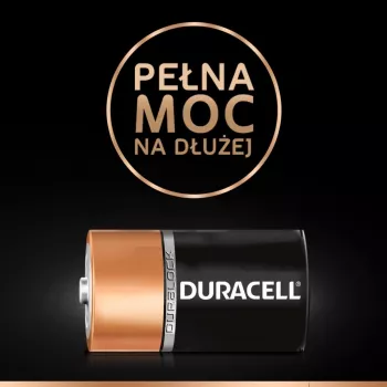 Baterijos Duracell Basic D (R20) – pakuotė po 2 vnt., cinko-anglies elementai