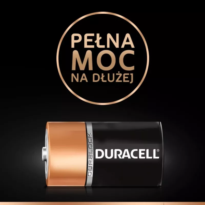Baterijos Duracell Basic D (R20) – pakuotė po 2 vnt., cinko-anglies elementai
