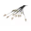 Breakout laidas Digitus DK-2433CU030BK-BBB 30m OM4 12 pluoštų LC/UPC