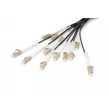 Breakout laidas Digitus DK-2433CU030BK-BBB 30m OM4 12 pluoštų LC/UPC