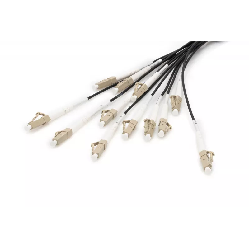 Breakout laidas Digitus DK-2433CU030BK-BBB 30m OM4 12 pluoštų LC/UPC