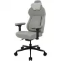 Ergonomic žaidimų kėdė ThunderX3 Core Smart - Loft