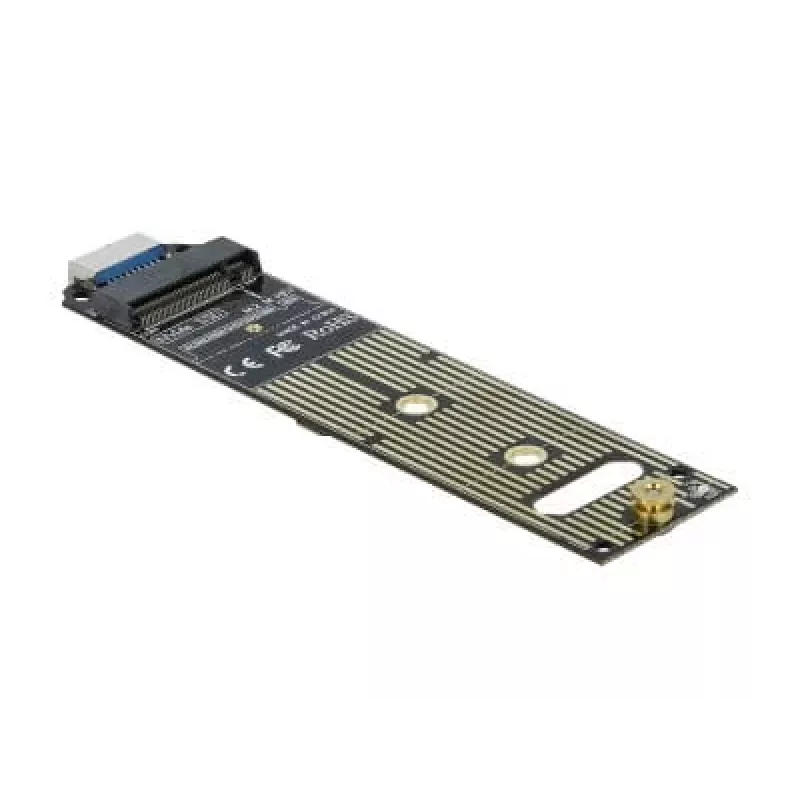 Vidinis M.2 adapteris DeLOCK 64069