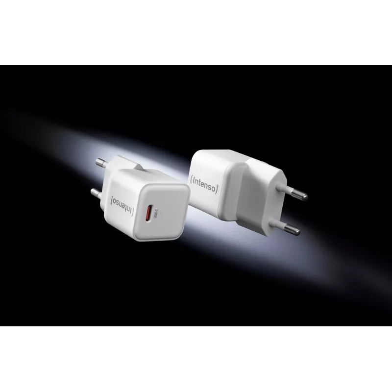 Intenso 7803032 USB-C greitasis įkroviklis su GaN technologija, baltas (2 vnt.)
