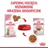 Šlapias kačių ėdalas Royal Canin Sterilised Gravy, 12 x 85 g pakeliai – vištiena, sterilizuotiems kačiukams