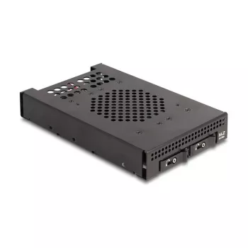 DeLOCK 47117 3,5 colio mobilus krepšelis 2 M.2 NVMe SSD