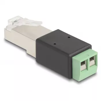 DeLOCK RJ45 kištukas į gnybtų bloką 2 kontaktų 66604 Juoda Žalia