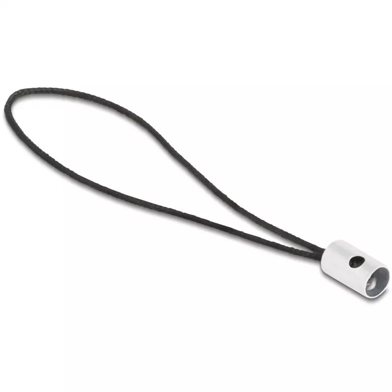Adapteris lyties keitiklis DeLOCK 60688 USB 2.0 Type-C į 8 kontaktų Lightning antracitas